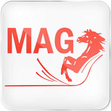 MAG